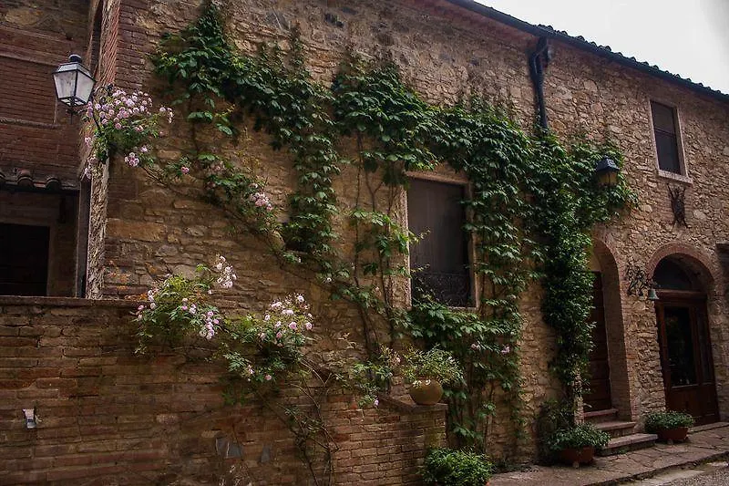 Tenuta La Bandita Sassetta